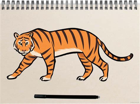 simple easy tiger drawing.